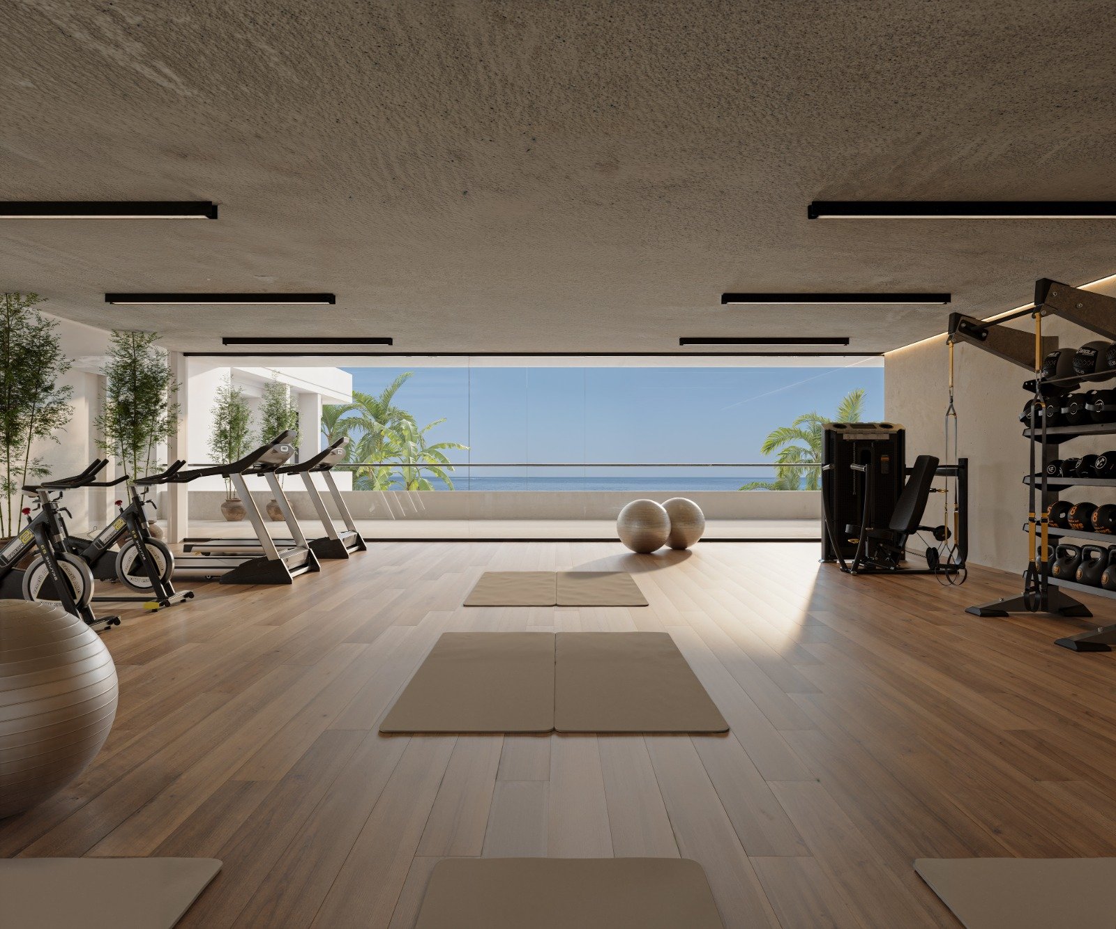 Gimnasio