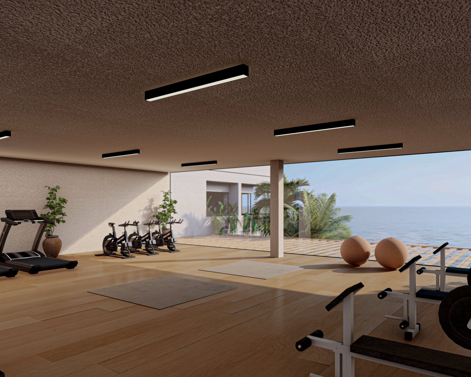 Gimnasio